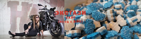 гидра Богданович