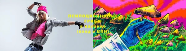 таблы Богородицк