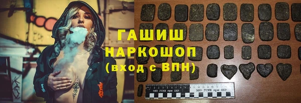 гидра Богданович